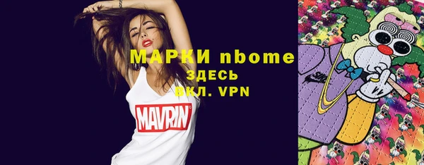 гашик Горнозаводск