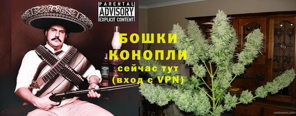 гашик Горнозаводск