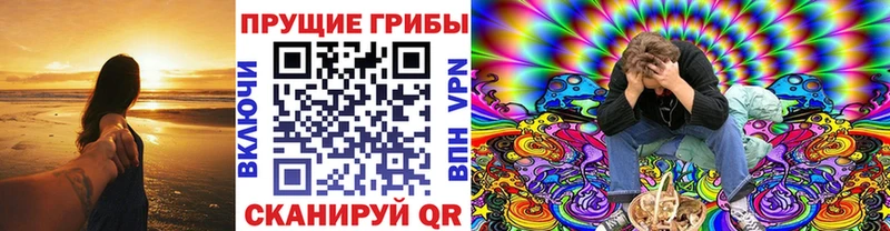 Галлюциногенные грибы Psilocybine cubensis  купить  цена  OMG tor  Мценск 