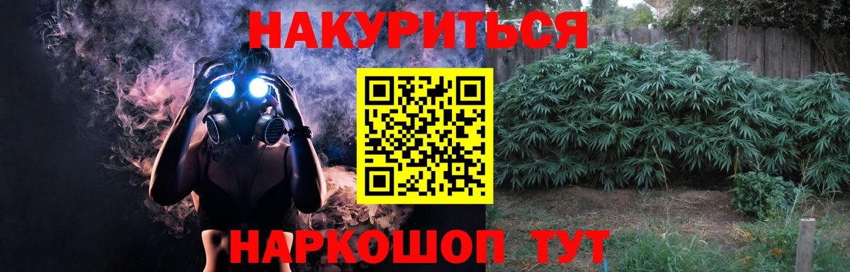 Конопля планчик  Конопля план  Мценск  Вход с VPN 